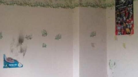 Photo from August 2013