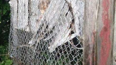 August 2013 - zhimage.jpg