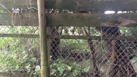 August 2013 - ivimage.jpg