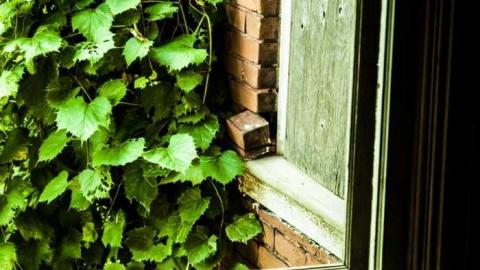 Photo from Long Abandoned 