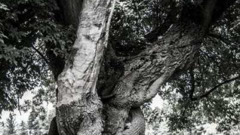 Photo from Lovely Gem