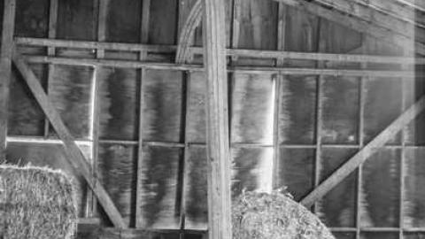 Photo from Lovely Gem