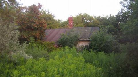 Intercity Intrigue - Torbram and 407 (3).jpg