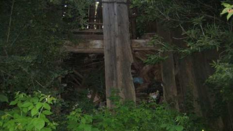 Intercity Intrigue - Torbram and 407 (4).jpg