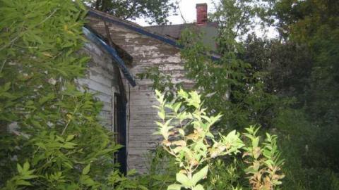 Photo from Intercity Intrigue