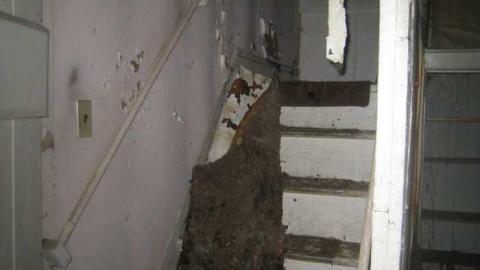 Intercity Intrigue - Torbram and 407 (11).jpg