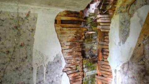 End of August 2013 - Thorndale-Obsession36.jpg