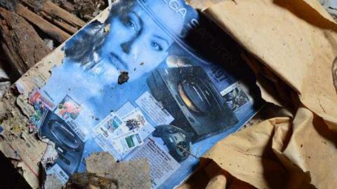 End of August 2013 - Thorndale-Obsession14.jpg