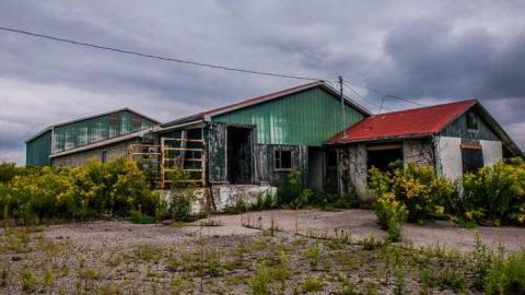 Tiska Taska - Tisk-Tisk,-Taska5.jpg