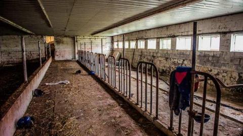 Tiska Taska - Tisk-Tisk,-Taska6.jpg