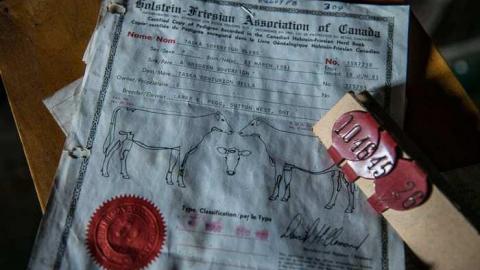 Tiska Taska - Tisk-Tisk,-Taska13.jpg