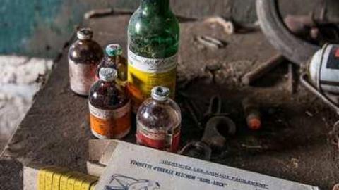 Tisk Tisk, Taska photo 3