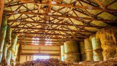 Tiska Taska - Tisk-Tisk,-Taska3.jpg