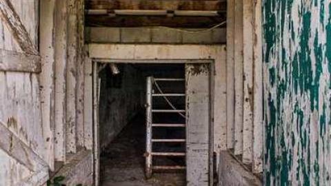 Tiska Taska - Tisk-Tisk,-Taska12.jpg