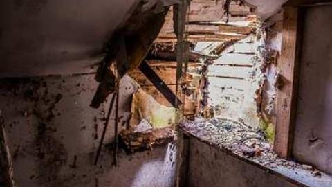 Return - 1129 2-0248.jpg