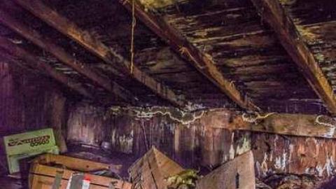 Return - 1129 2-0251.jpg