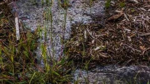 Return - 1129 2-0262.jpg