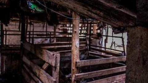 Return - 1129 2-0264.jpg