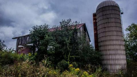 Return - 1129 2-0267.jpg