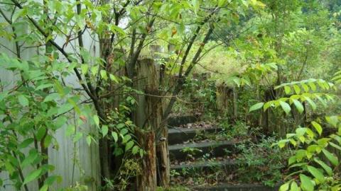 August 31st 2013 - Newburgh-Hotel14.jpg