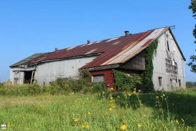 Musky House - jv008.jpg