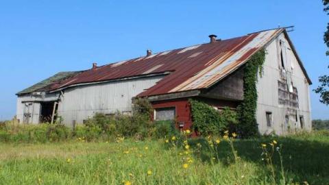 Musky House cover photo