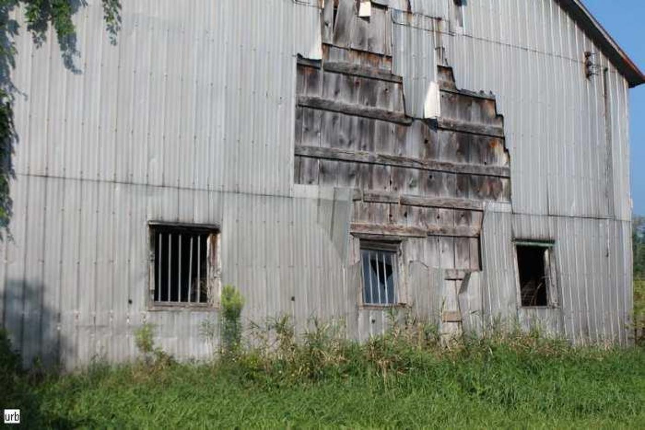 Musky House - uq022.jpg