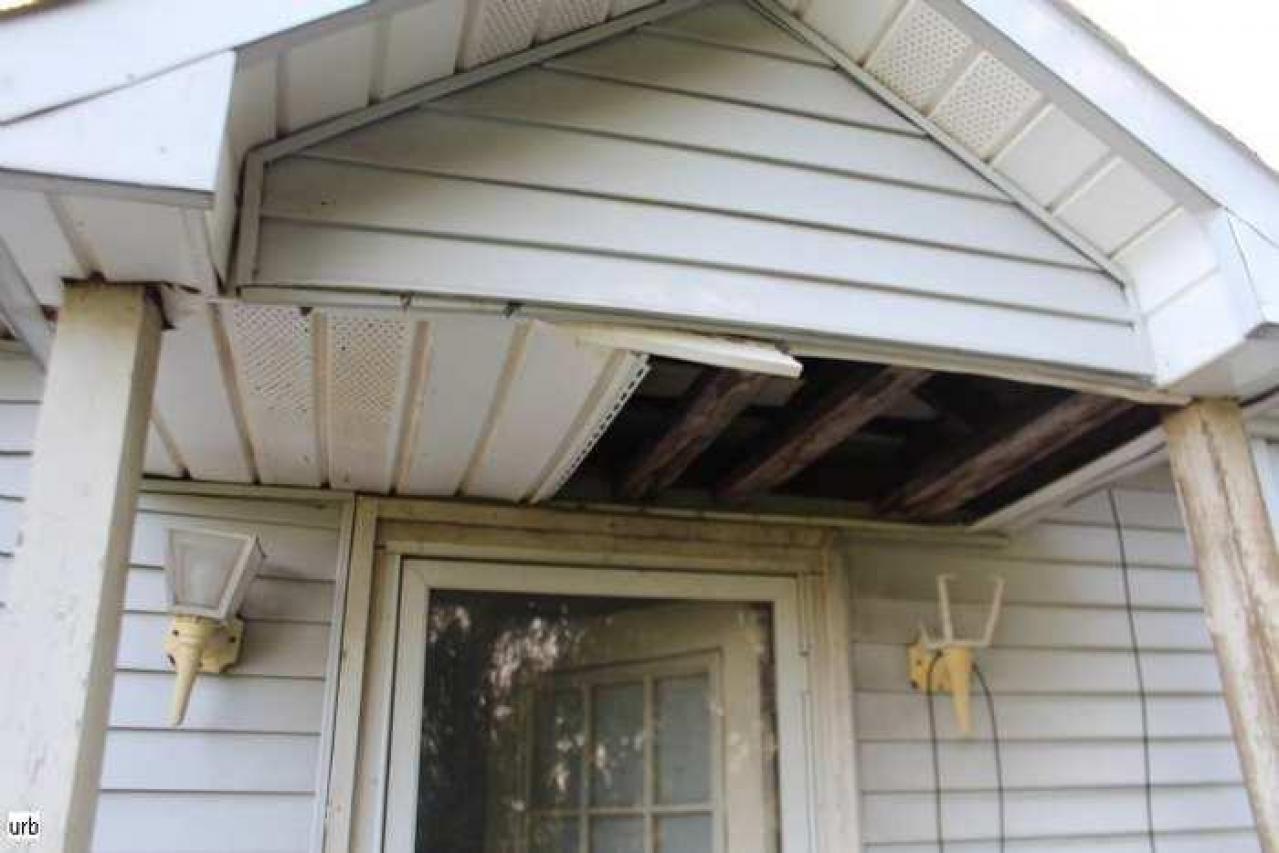 Musky House - av27.2.jpg