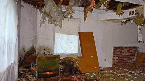 Musky House - bs28.2.jpg