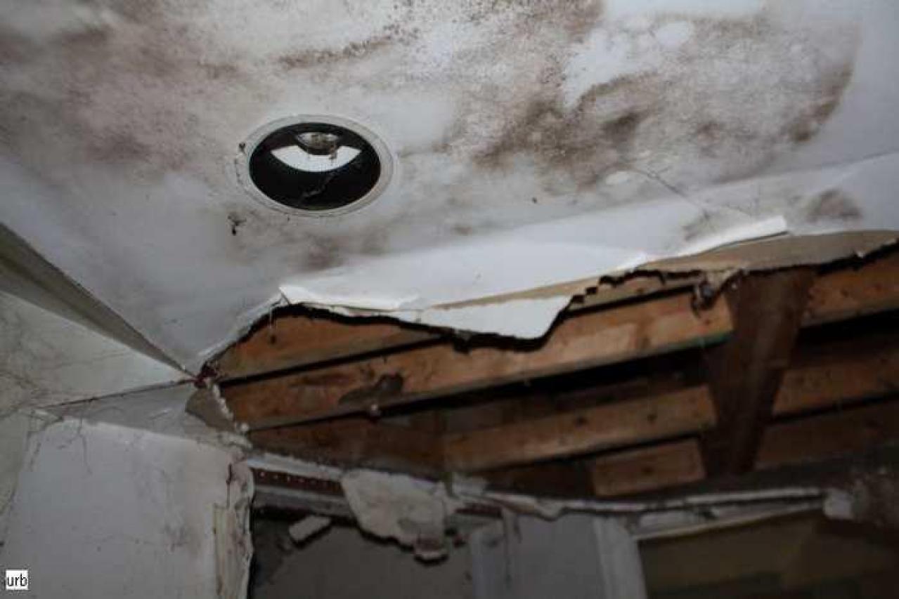 Musky House - ni034.jpg