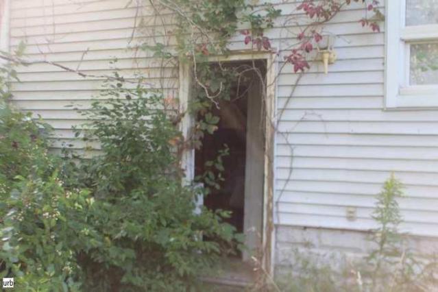 Musky House - cg035.jpg