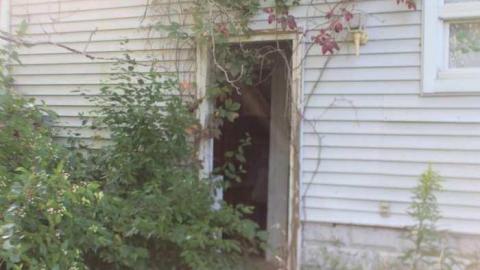 Musky House - cg035.jpg