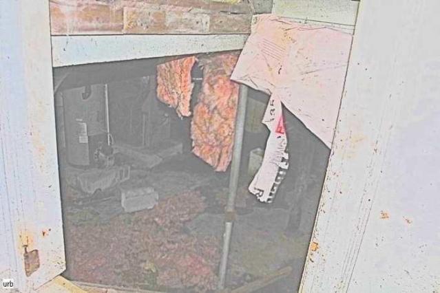 Musky House - uk040.jpg