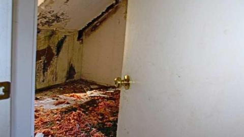 Musky House - 051.jpg