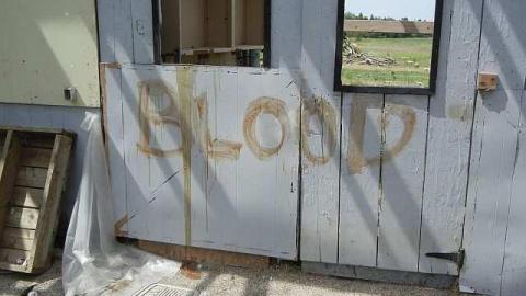 Farm pics - abandoned4.jpg