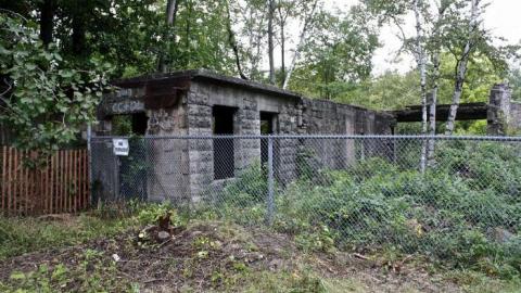 When Nature Takes Over - Darnley-Mill-Crooks-Hollow44.jpg