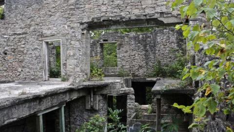 When Nature Takes Over - Darnley-Mill-Crooks-Hollow45.jpg