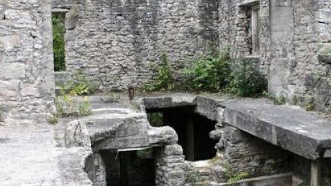 When Nature Takes Over - Darnley-Mill-Crooks-Hollow46.jpg