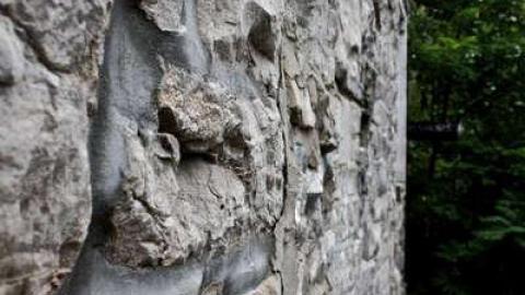 When Nature Takes Over - Darnley-Mill-Crooks-Hollow47.jpg