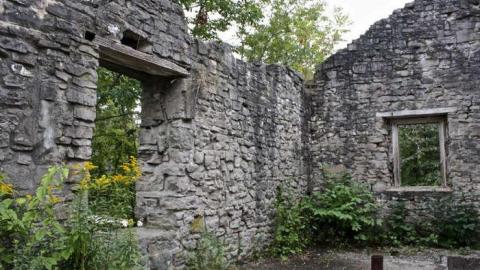 When Nature Takes Over - Darnley-Mill-Crooks-Hollow49.jpg