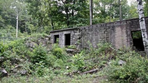 When Nature Takes Over - Darnley-Mill-Crooks-Hollow50.jpg