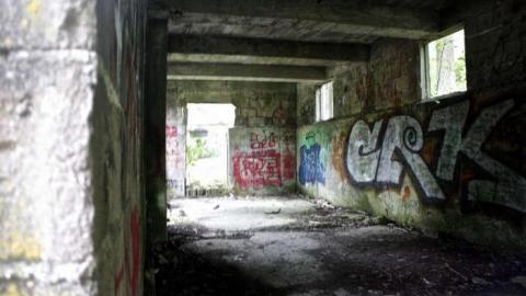 When Nature Takes Over - Darnley-Mill-Crooks-Hollow52.jpg