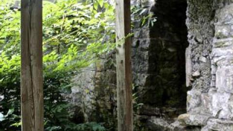 When Nature Takes Over - Darnley-Mill-Crooks-Hollow54.jpg