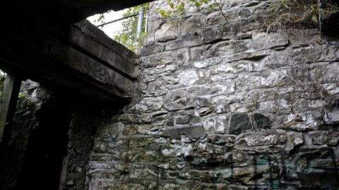 When Nature Takes Over - Darnley-Mill-Crooks-Hollow55.jpg