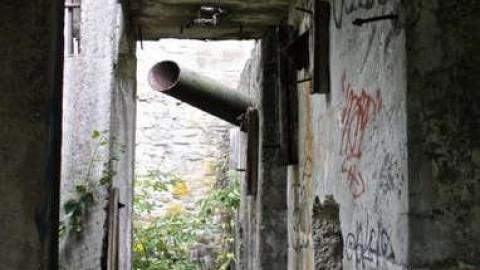 When Nature Takes Over - Darnley-Mill-Crooks-Hollow56.jpg