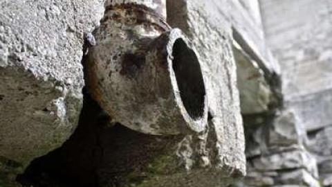 When Nature Takes Over - Darnley-Mill-Crooks-Hollow57.jpg