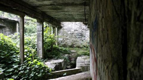 When Nature Takes Over - Darnley-Mill-Crooks-Hollow59.jpg