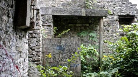 When Nature Takes Over - Darnley-Mill-Crooks-Hollow60.jpg