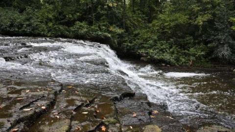 When Nature Takes Over - Darnley-Mill-Crooks-Hollow61.jpg