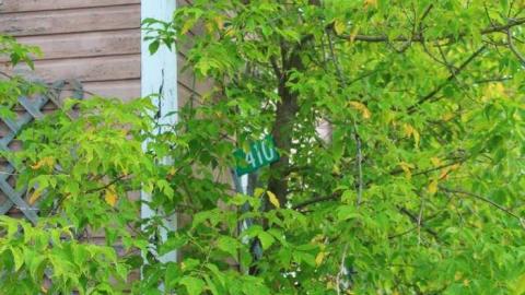 Mt. St. Patrick House - Abandoned-House-Mt-St-Patrick1.jpg